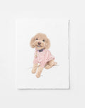 Custom Pet Illustration