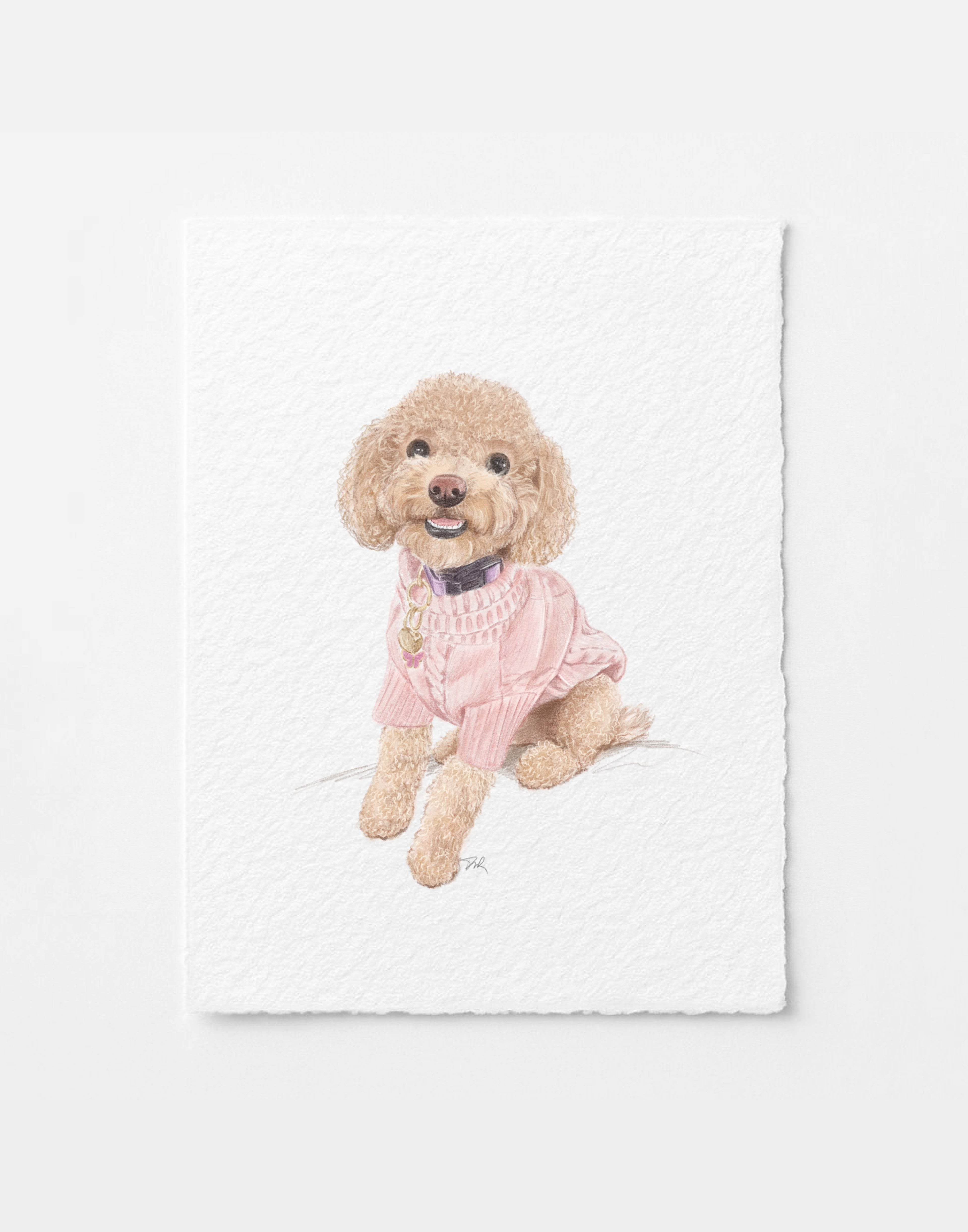 Custom Pet Illustration