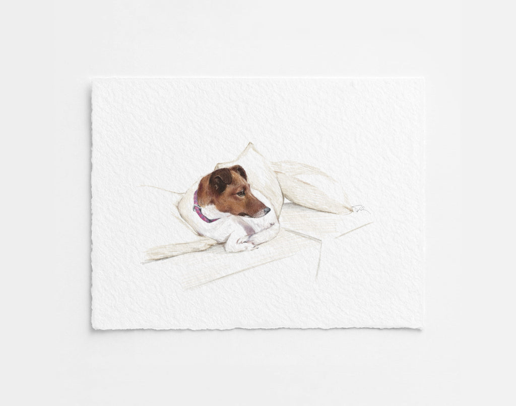 Custom Pet Illustration