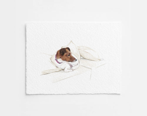 Custom Pet Illustration